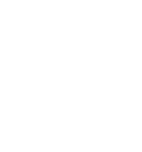 Big Hat Group Inc.